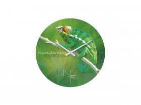 Часы настенные Nicole Time NT503 в Чульмане - chulman.mebel-nsk.ru | фото